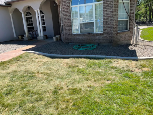dirt-screening-before-image-4