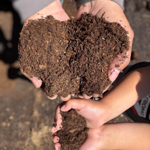 HSB Dairy Compost