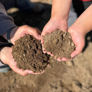 HSB Premium Topsoil