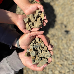 Medium Black & Tan Landscape Rock