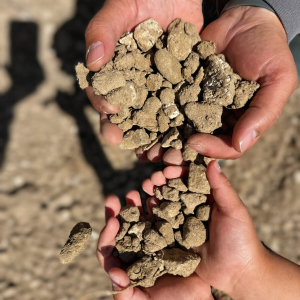1" Minus Fill Dirt